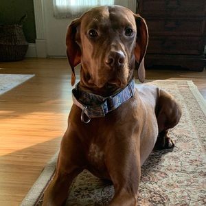 Meet your Posher, Christine